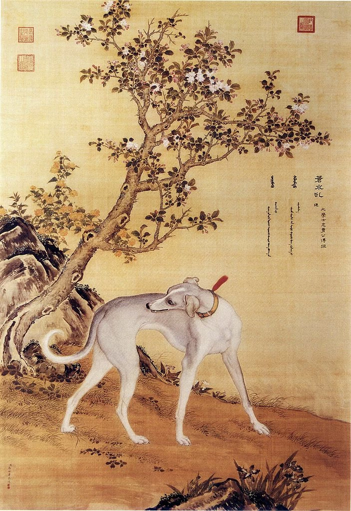 Album dei 10 cani - National Palace Museum in Taipei